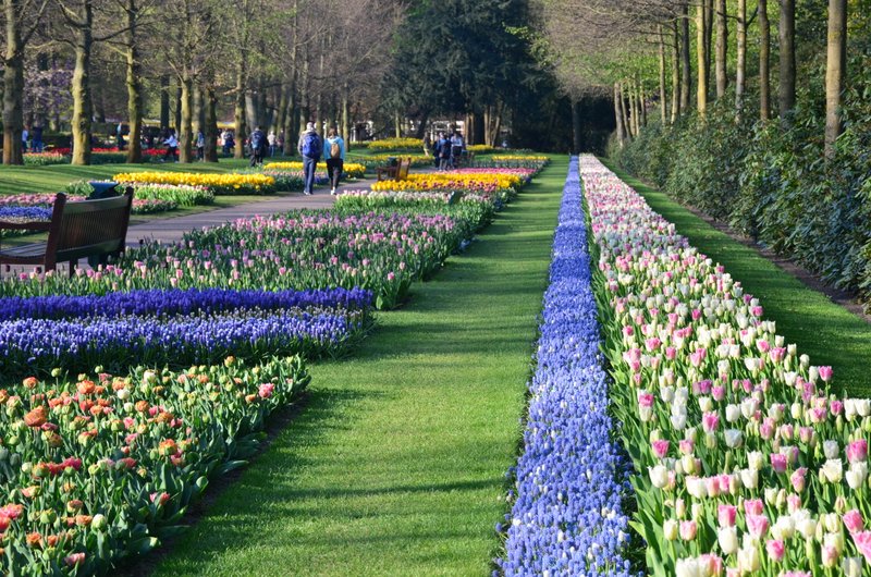 Keukenhof - květinový park